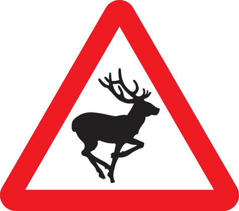 warning-sign-wild-animals